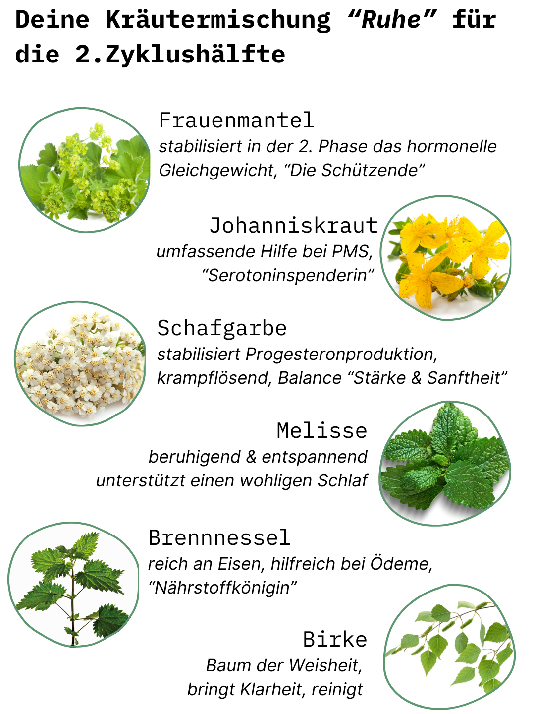 3-Monats-Zykluskur: Frauenkräuter-Tee - „Kraft+Ruhe“, 1. + 2. Zyklushälfte, Demeter, 6 x 75g